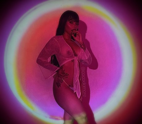 Cocodamore ポルノスター 美しい ギャラリー