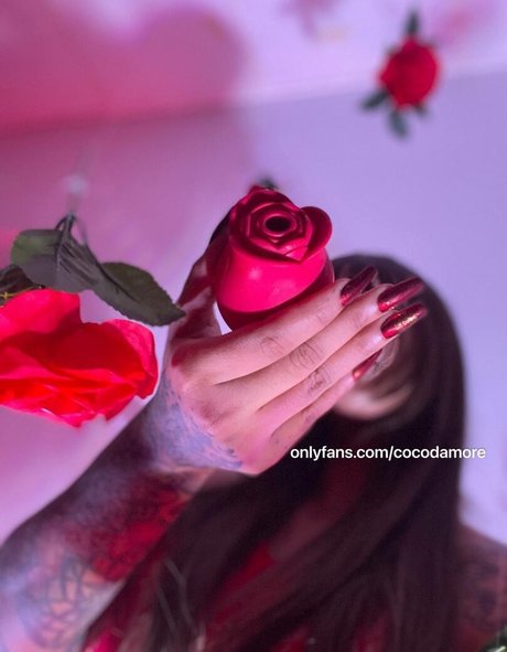 Cocodamore セックスポルノスター アーカイブ