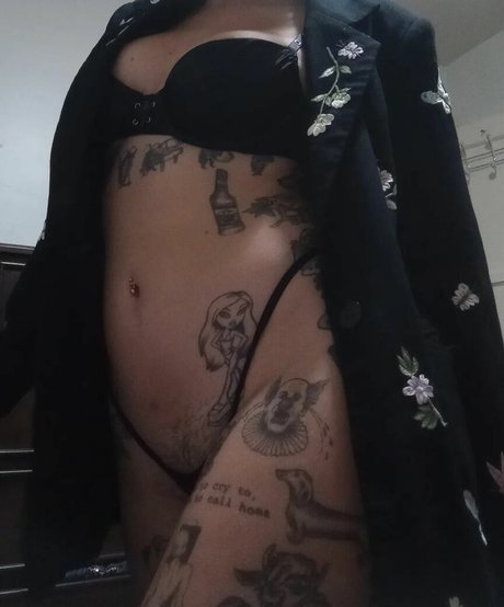 Radsugardad 完璧なスター アーカイブ