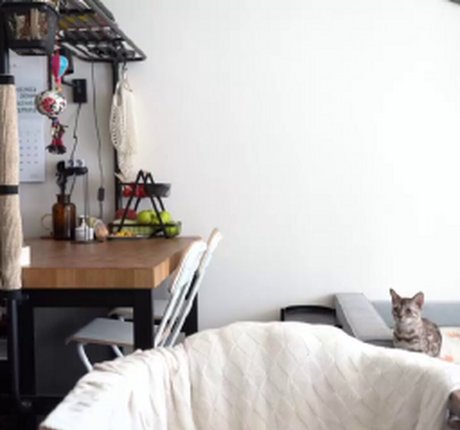 hernamewasdira HDモデル ギャラリー