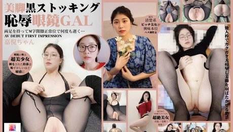 Qin Jia Ni_ 限定モデル アーカイブ