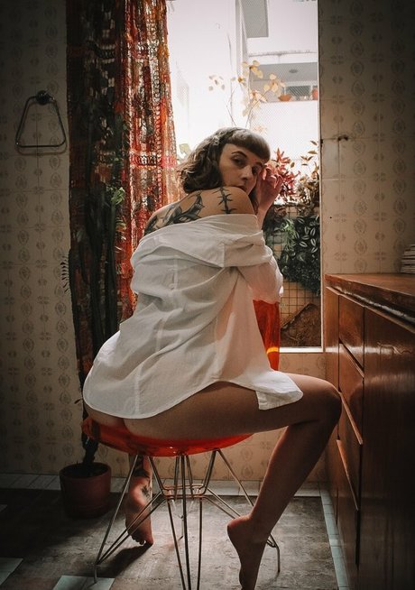 donalaura_ 高品質スター 画像