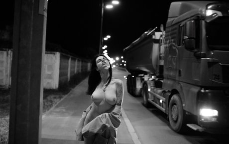 アマチュアトランスオンリーファン ポルノ ギャラリー