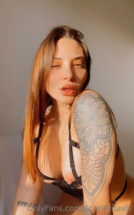 scarlettd アートモデル 画像