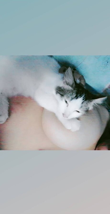 Luna Drei セックスポルノスター 画像