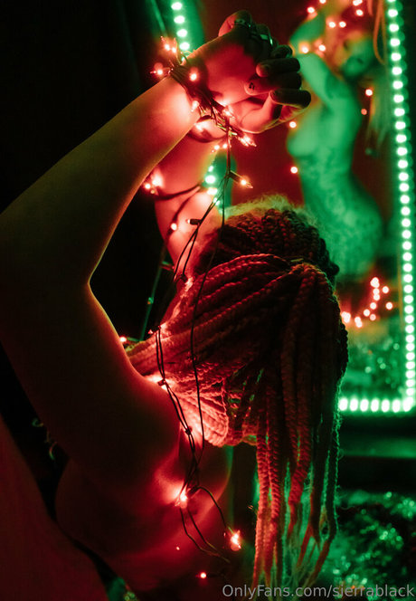 sierrablack トップスター 画像