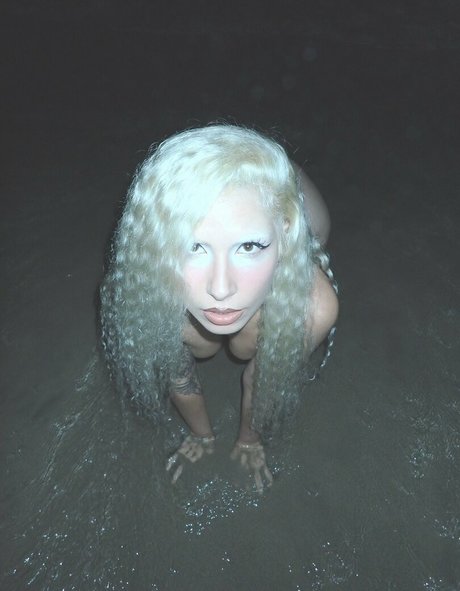 Bente Violet HDモデル 写真