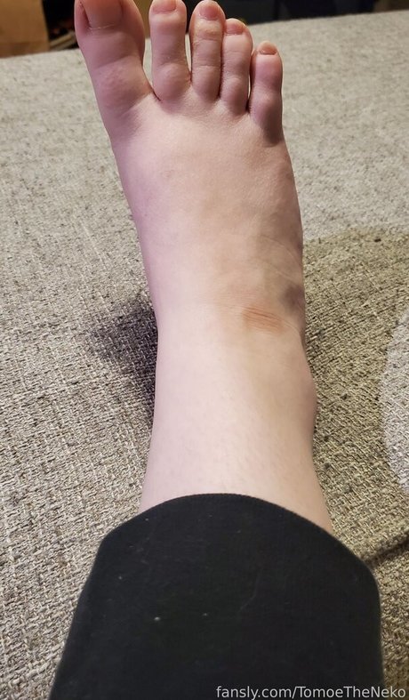 TomoeTheNeko ホット女優 写真