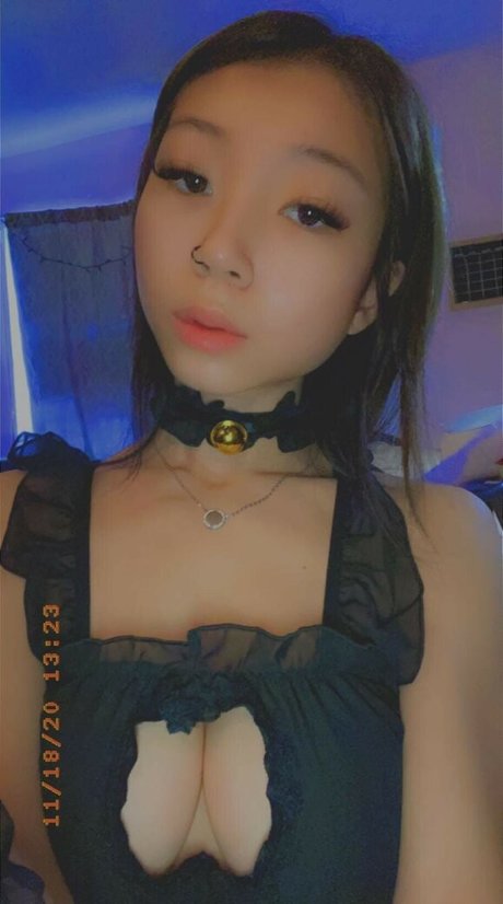 gbcliz 限定スター 写真