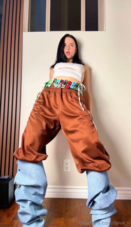 Zava li HDポルノスター 写真