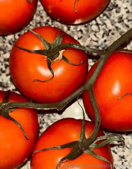 destinydelfina ポルノモデル 画像