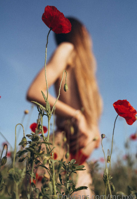 mr hxly ポルノスター ギャラリー