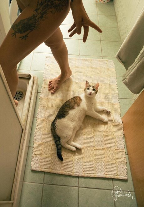 Sara Noli ポルノスター ギャラリー