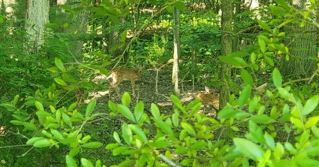 スターティーンオンリーファンズ アートヌード 写真