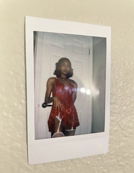 Official Anaiis アートモデル アーカイブ