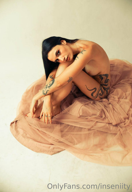 inseniity アート女優 画像