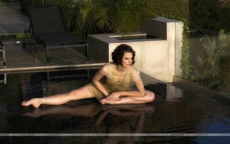 Stana Katic ポルノ女優 画像