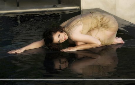 xxx アジアンオンリーファン ホットセクシー アーカイブ