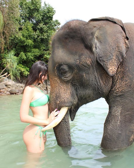 Tatiana Schwartz 完璧なモデル 画像