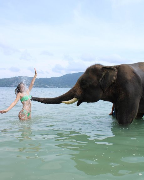 Tatiana Schwartz 美しいモデル 画像