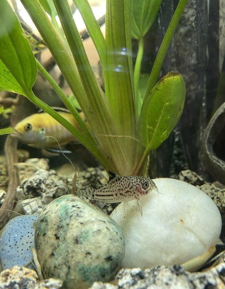 寝取られ異人種間OnlyFans アダルト 写真