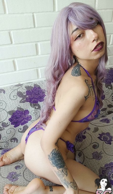 Donnacat top profile image