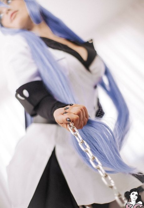 nefernik トップスター 写真