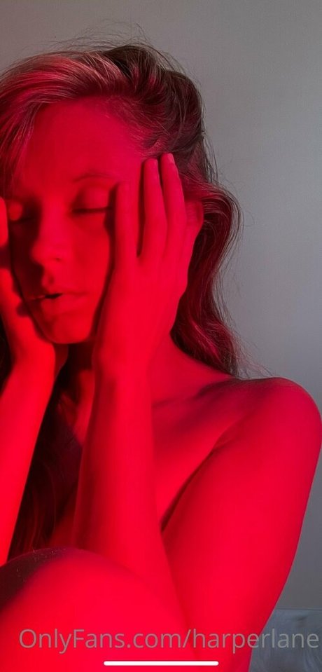 harperlane アートモデル 写真