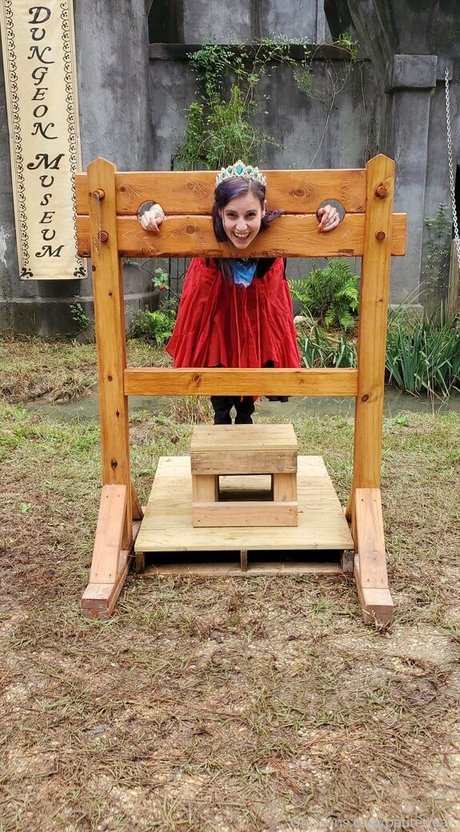 petitetreat_ 最高のスター 写真