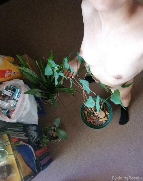 アマチュアトランスオンリーファン HD 写真