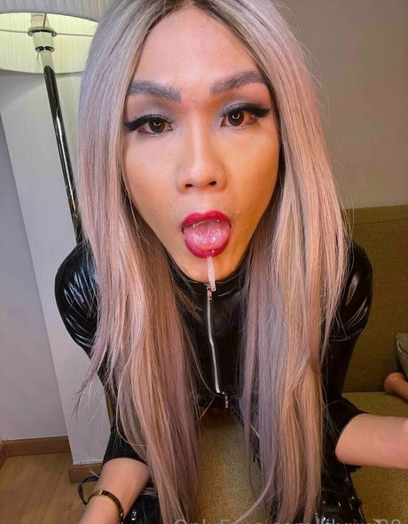 lilyuw88 高品質のスター ギャラリー