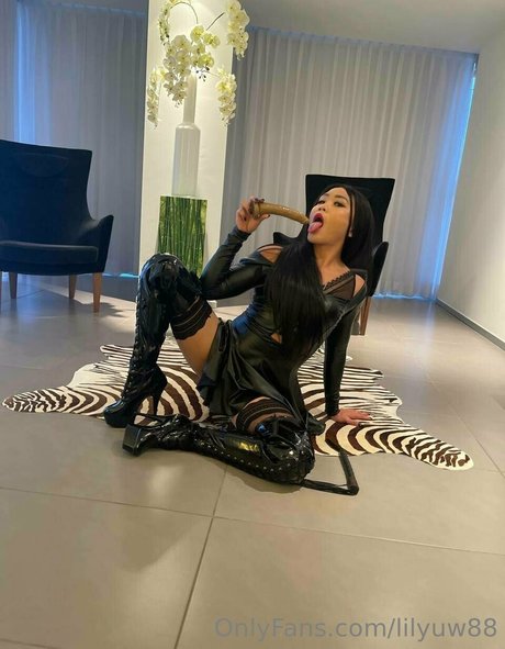 lilyuw88 ポルノスター アダルト アーカイブ