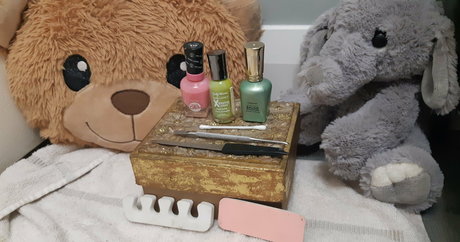 エボニートップオンリーファン HD 画像