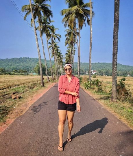 Tassels and Trails HDモデル 写真