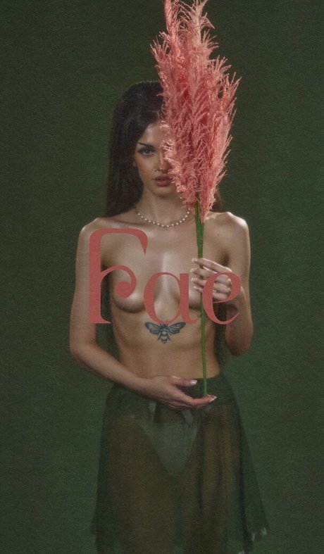 公共の場での猫のOnlyFans 限定 ギャラリー