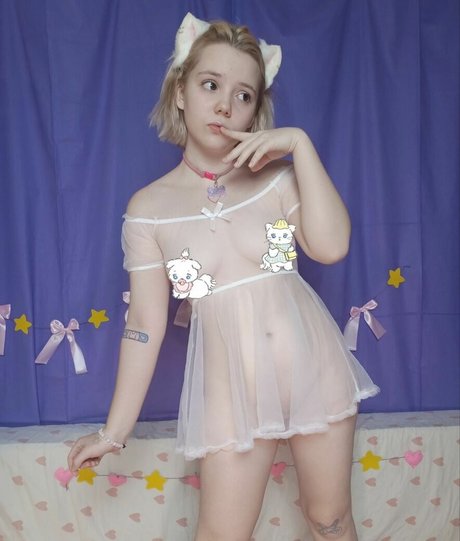 Ki ki kitten profile image