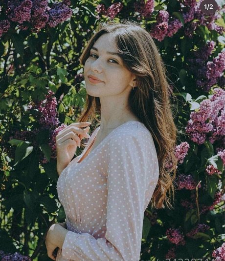 jessy shine ポルノ女優 写真