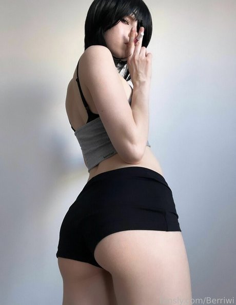 Berriwi HDモデル 写真