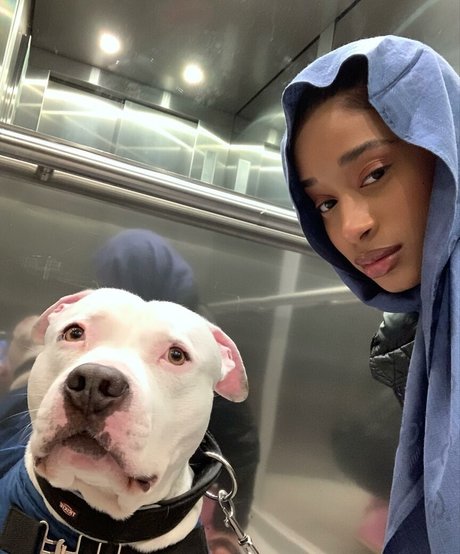 Capeverdian 無料のスター 写真