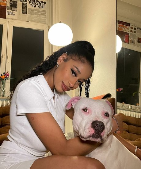 Capeverdian 無料スター ギャラリー