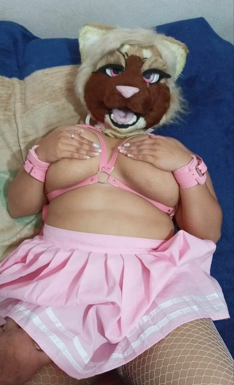 Softskitten 無料のスター ギャラリー