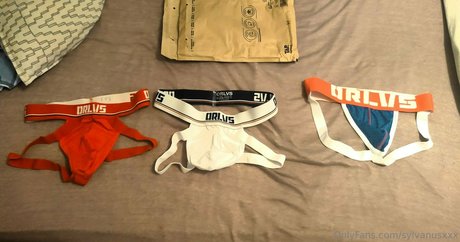 sylvanusxxx アートスター ギャラリー