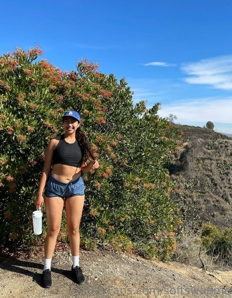 softswapme ヌードのポルノスター 写真