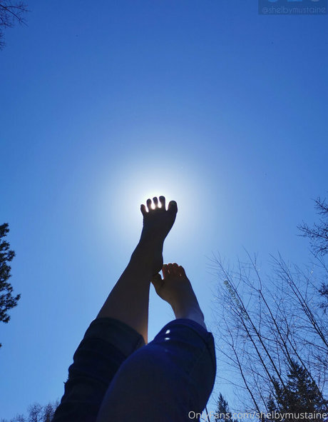 shelbymustaine トップ女優 ギャラリー