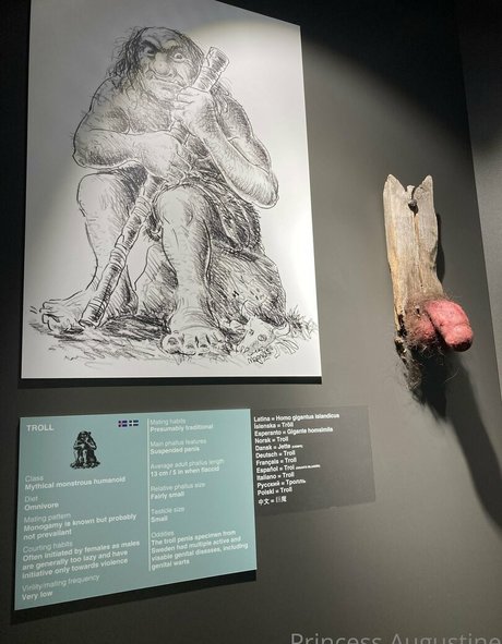 princessaugustine アートモデル ギャラリー