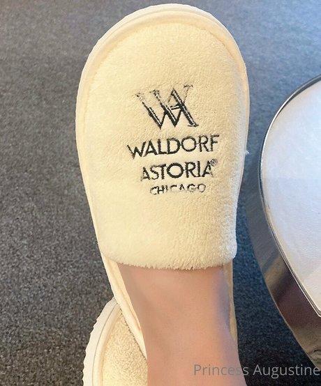 princessaugustine 裸のポルノスター 画像