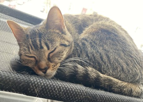 姉妹のOnlyFans ホットポルノ 画像