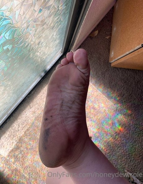 honeydew sole ヌードスター 画像