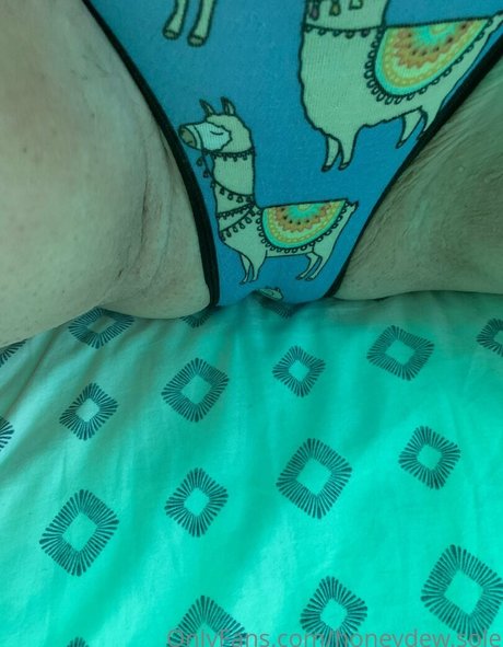 honeydew sole セックススター アーカイブ