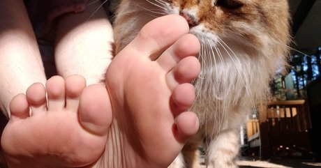 バイセクシャルカップルのOnlyFans ホットセクシー 写真